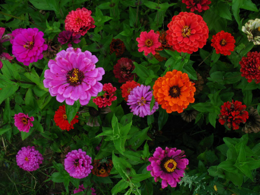 709229 (a): :2304x1728